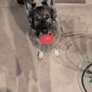 Fundraising Page: Kim Layman